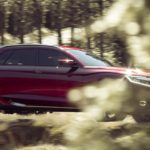 43. Citroen Wild Rubis Wiadomości