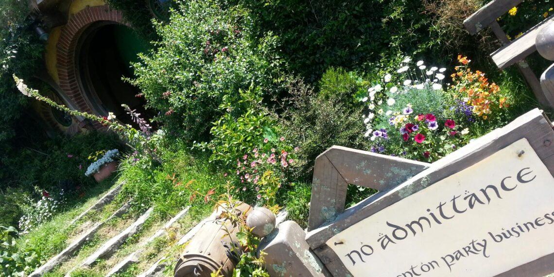 2013 11 24 13.40.02 Wiadomości