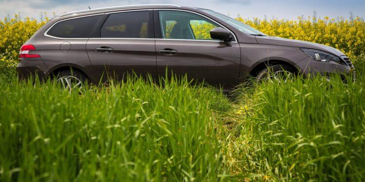 308 sw francuskie pl 9 Testy