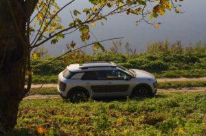 15. Citroen C4 Cactus kłuje w oczy Citroën - testy i opinie