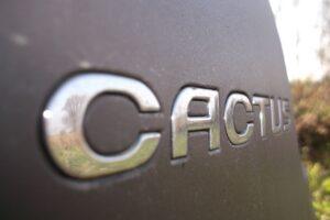 43. Citroen C4 Cactus kłuje w oczy Citroën - testy i opinie