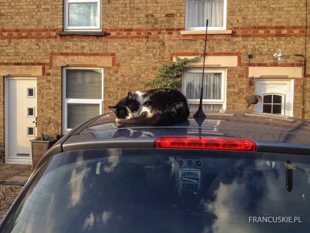 peugeot-308-1-6-hdi-90-km-1