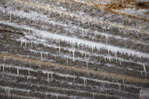 06. Nowe Renault Megane Grandtour TCe 130 na Mazurach – cz. III Wilczy Szaniec Wiadomości