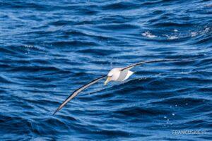 nowy ﻿Peugeot 5008﻿ 1.6 THP 165 KM EAT6