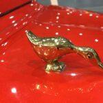 IMG 5057 Wiadomości