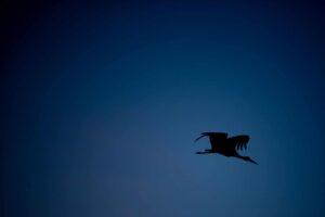 nowy peugeot 3008 110 Testy