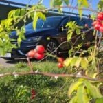 06. Renault Talisman Grandtour 1.7 Blue dCi 150 Testy