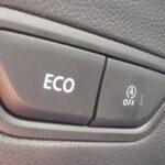 20190825 125106 scaled Testy