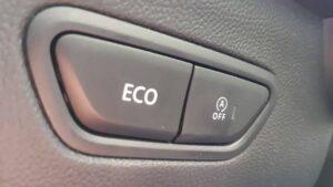 20190825 125106 scaled Testy