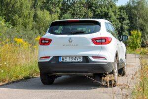 IMG 5349 scaled Testy