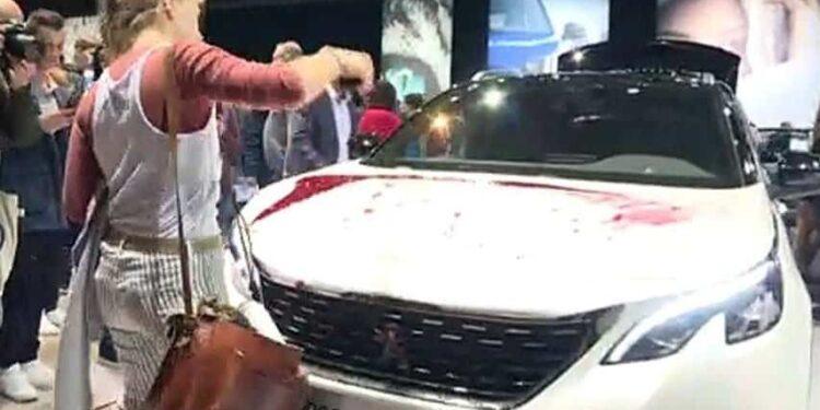 bruksela 5008 Wiadomości