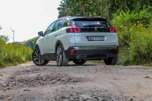 IMG 7896 scaled Testy