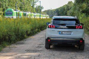 IMG 7904 scaled Testy