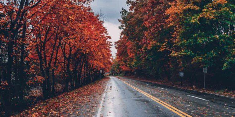 Bezpieczna jazda jesienia 2 Wiadomości