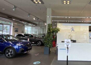 peugeot salon 1 Wiadomości