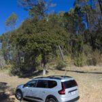 36. Dacia Jogger – pierwsza jazda Testy