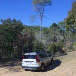 39. Dacia Jogger – pierwsza jazda Testy