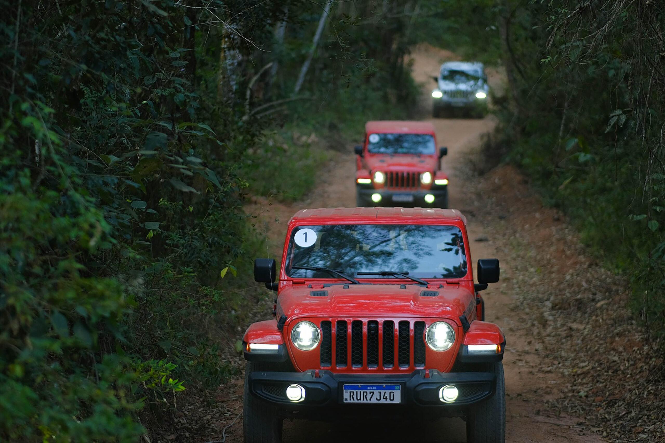 Jeep Nature