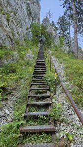 Dacia Duster Hybrid 140 003 Wiadomości