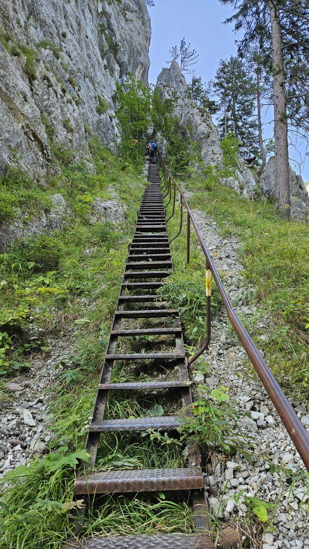 Dacia Duster Hybrid 140 003 Wiadomości