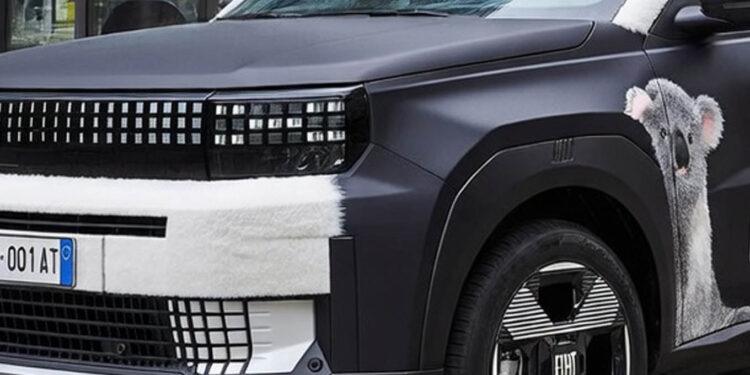 fiat koala Wiadomości