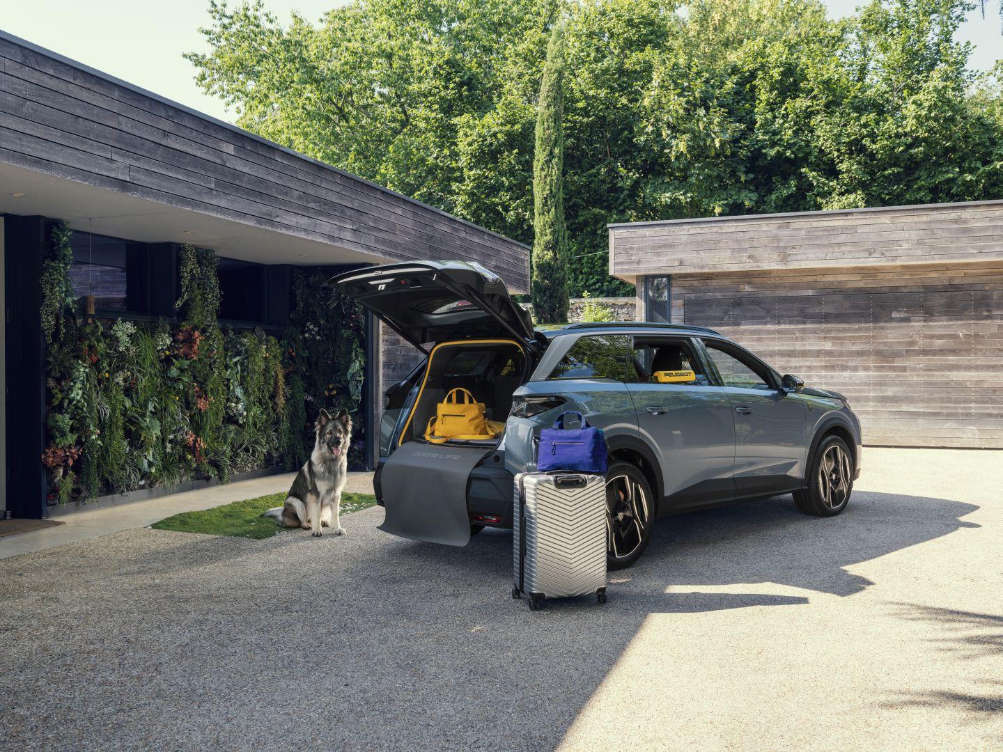Peugeot e 5008 dog Edition 016 Wiadomości